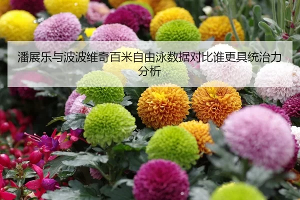 潘展乐与波波维奇百米自由泳数据对比谁更具统治力分析