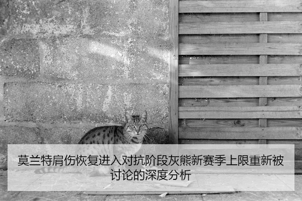 莫兰特肩伤恢复进入对抗阶段灰熊新赛季上限重新被讨论的深度分析