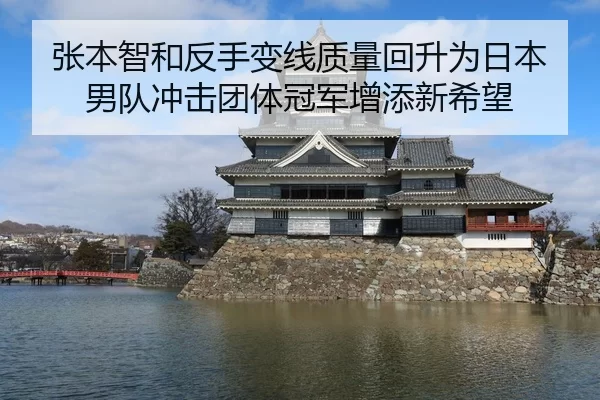 张本智和反手变线质量回升为日本男队冲击团体冠军增添新希望
