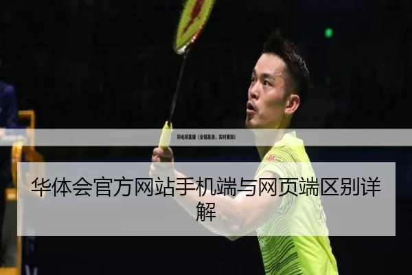 华体会官方网站手机端与网页端区别详解