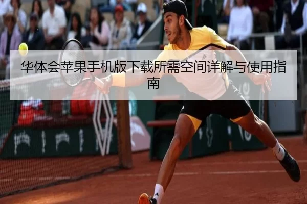 华体会苹果手机版下载所需空间详解与使用指南